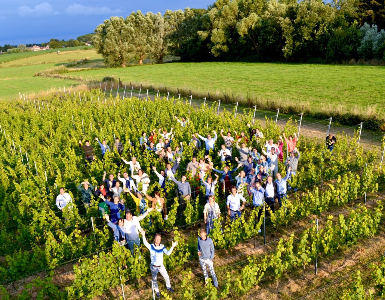 Groep in de wijngaard