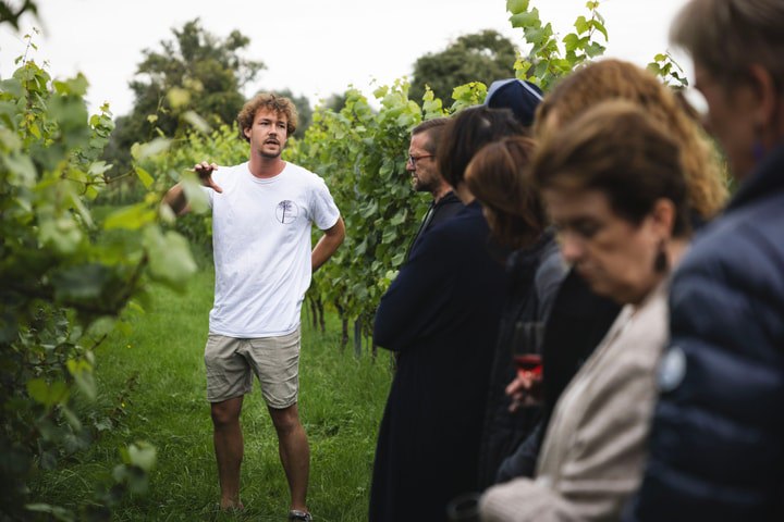 Rondleiding met gids Free