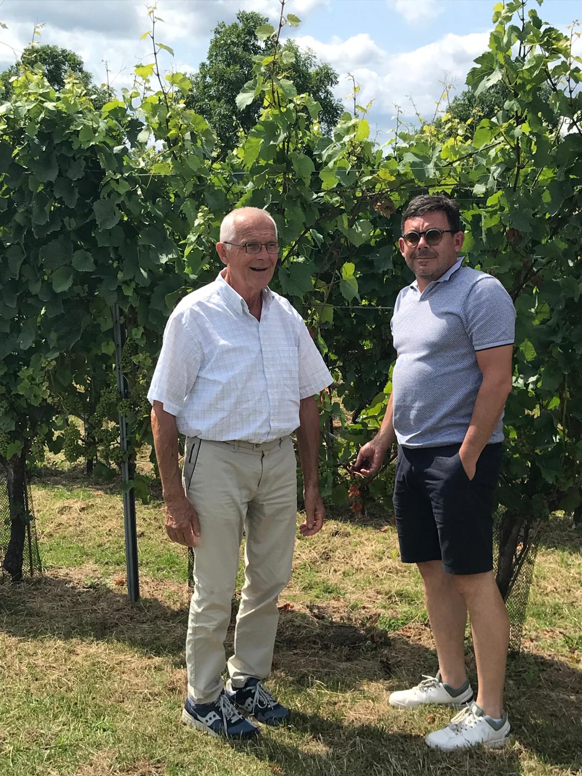 Wijngaard aanplant 2008