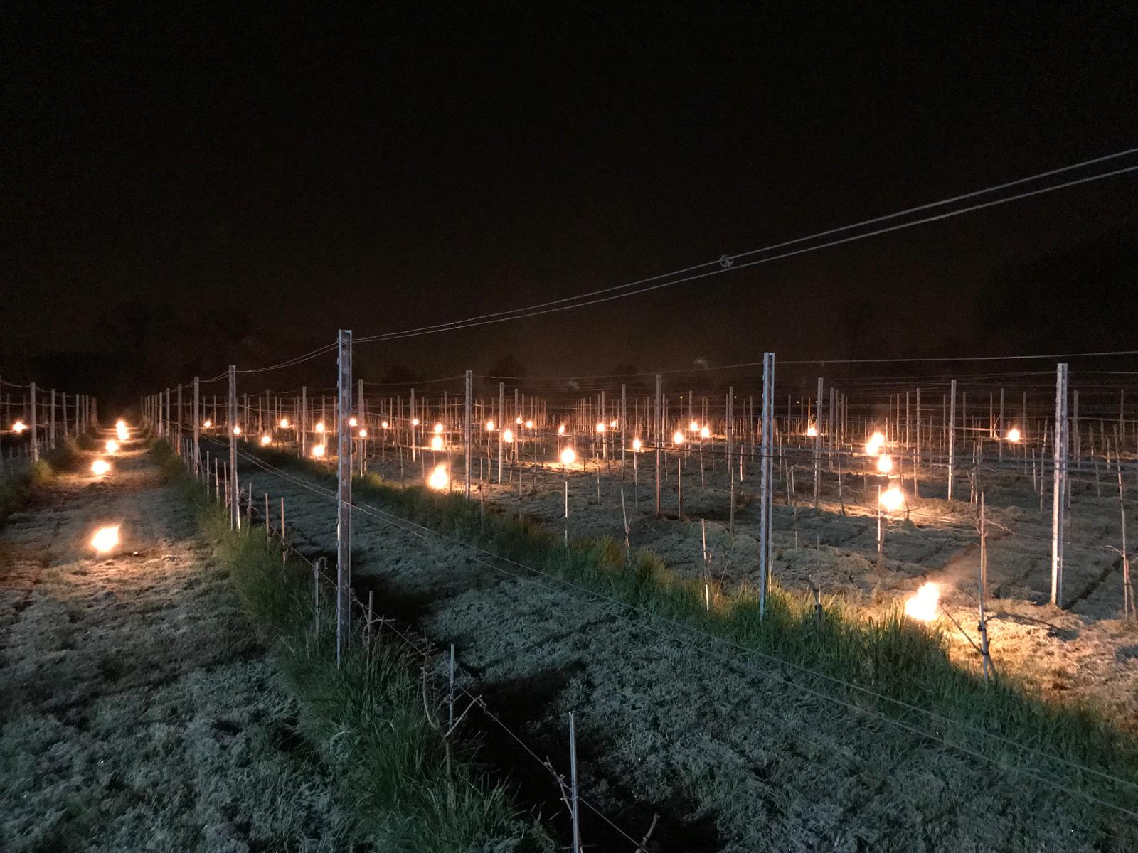 Vuurpotten tegen vorst