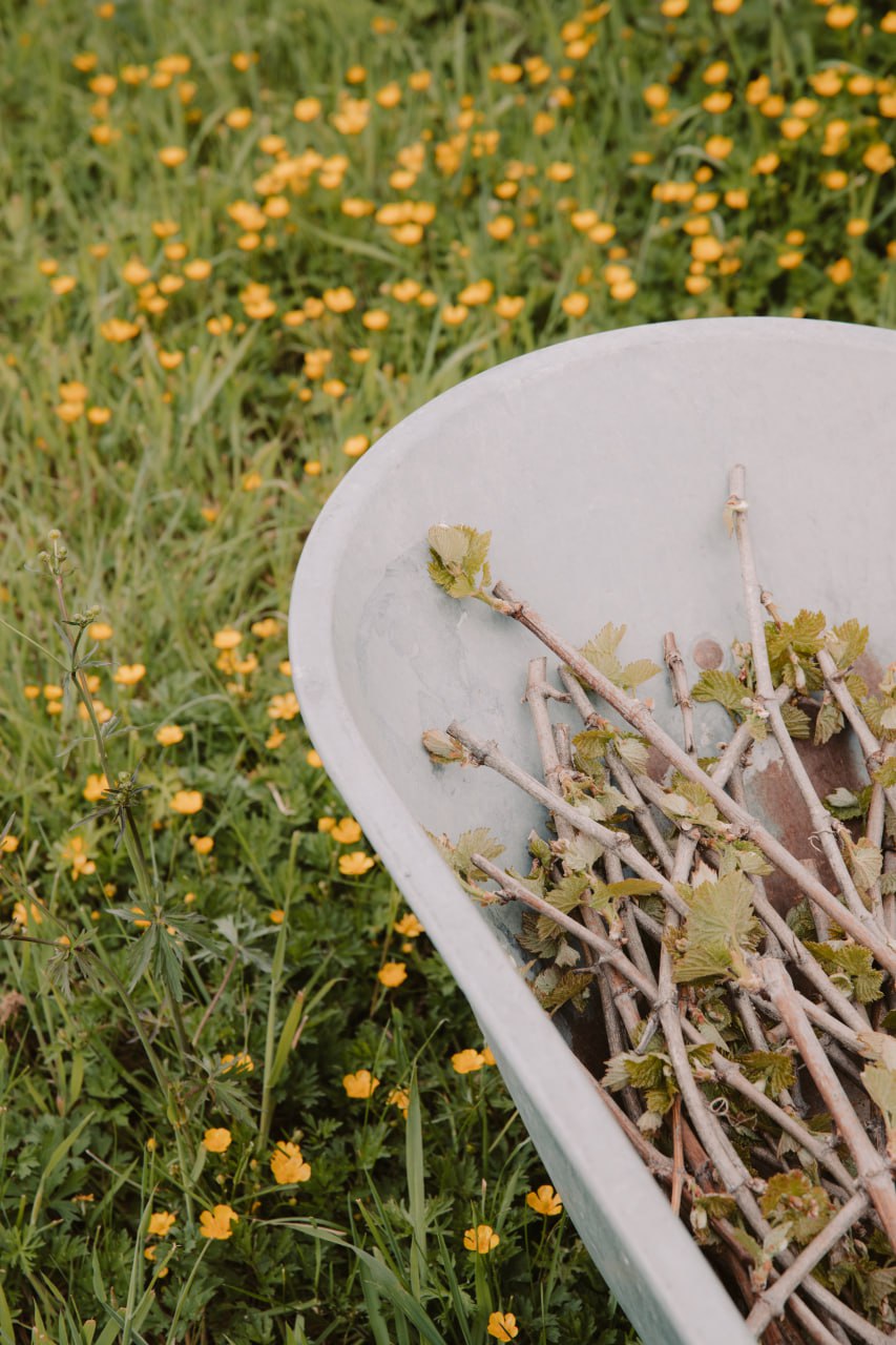 Natural Garden Amendments 2025