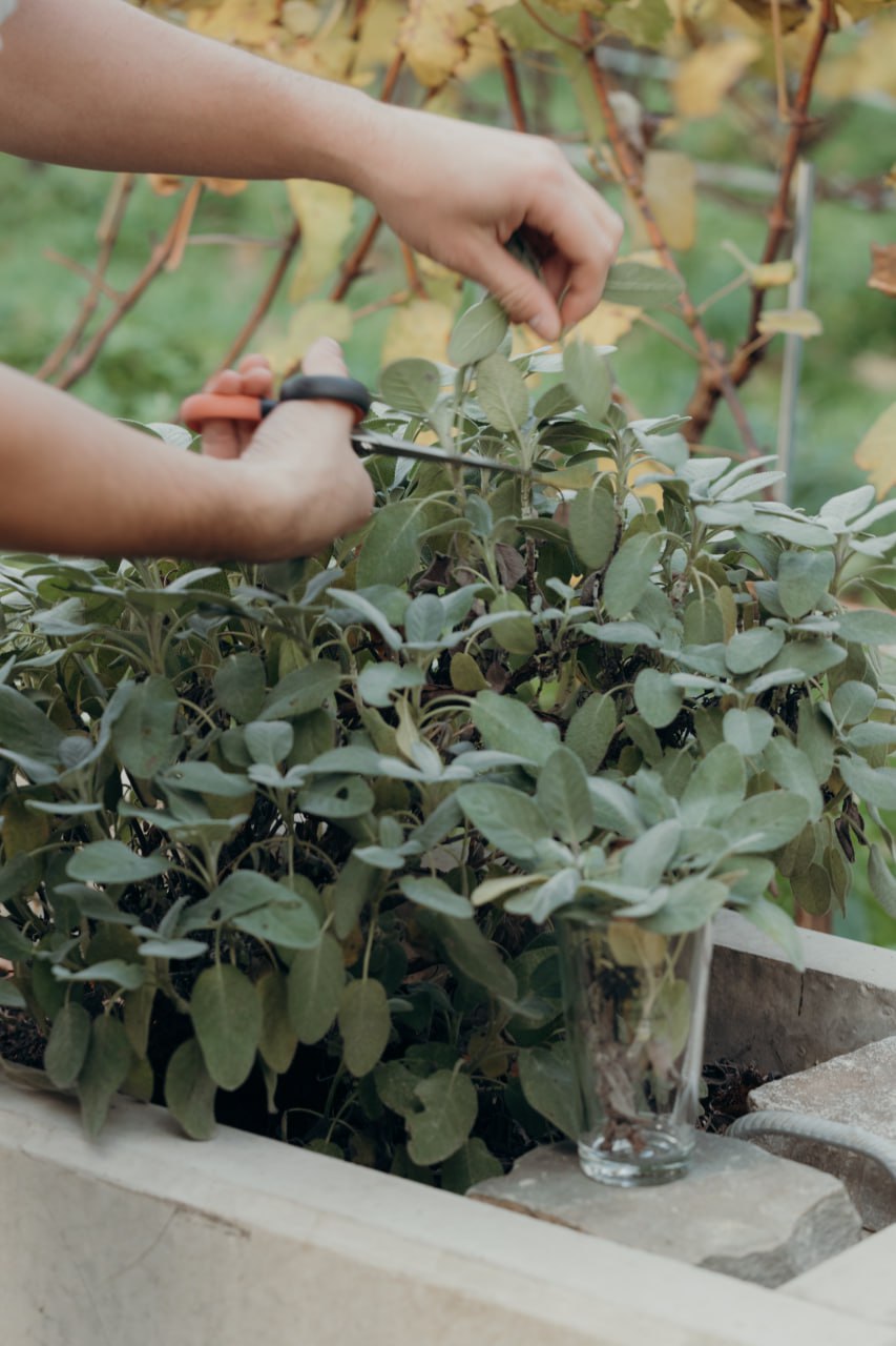 Regeneratieve landbouw 2025